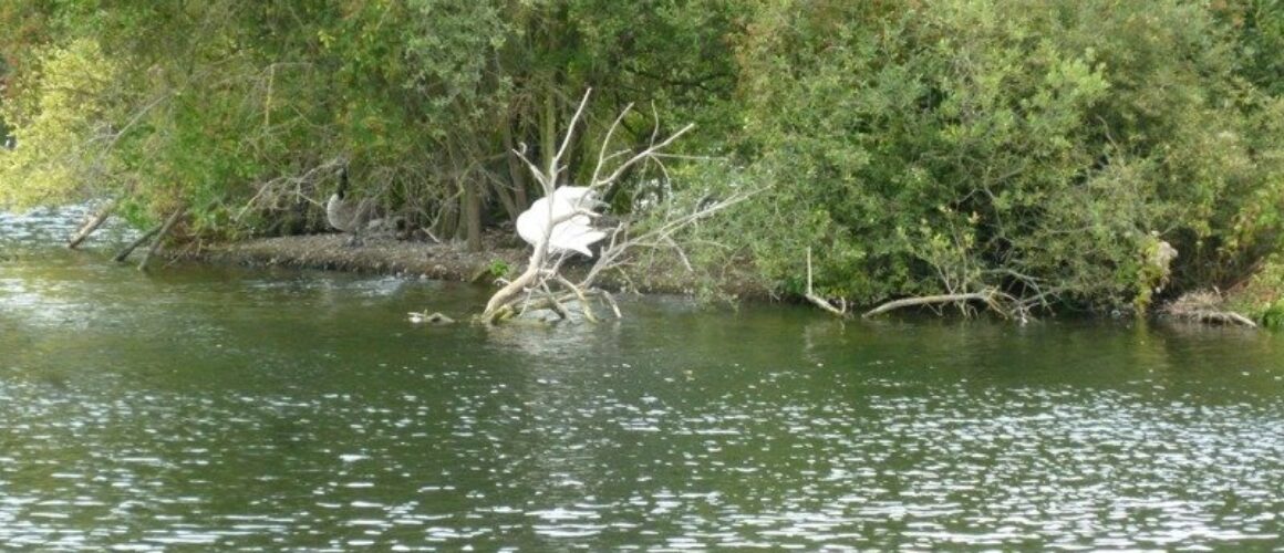 fishers green walk 09