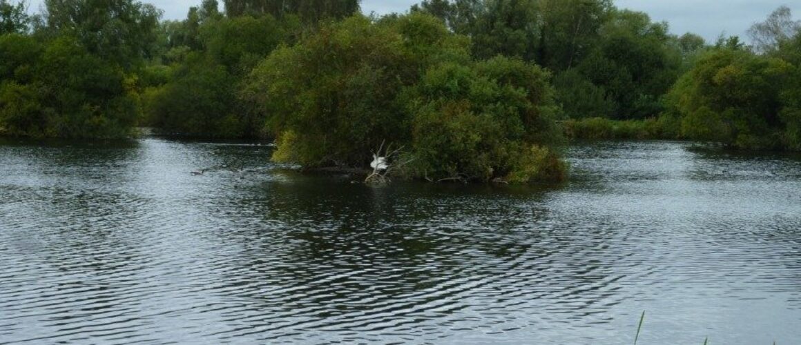 fishers green walk 10