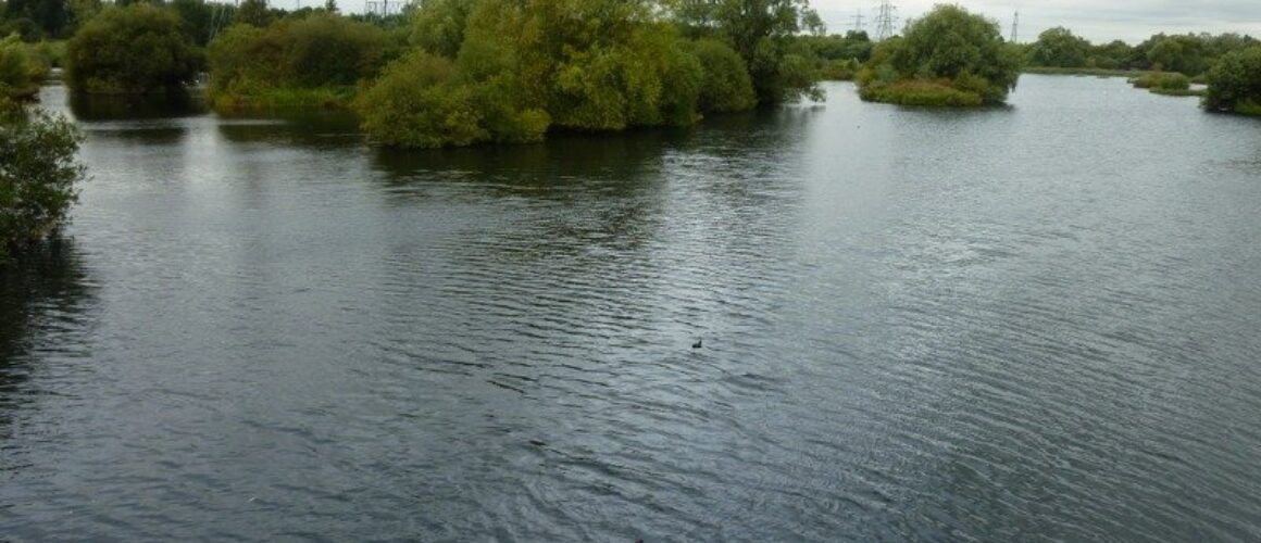 fishers green walk 19