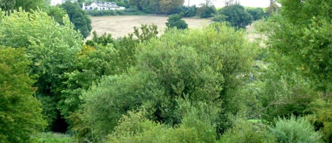 fishers green walk 21