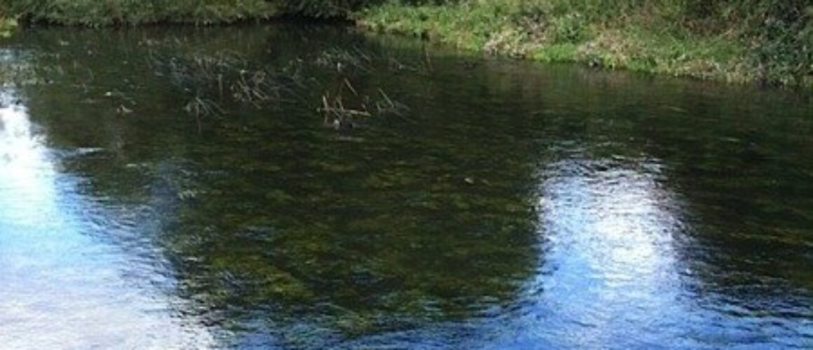 Gunpowder park walk 36