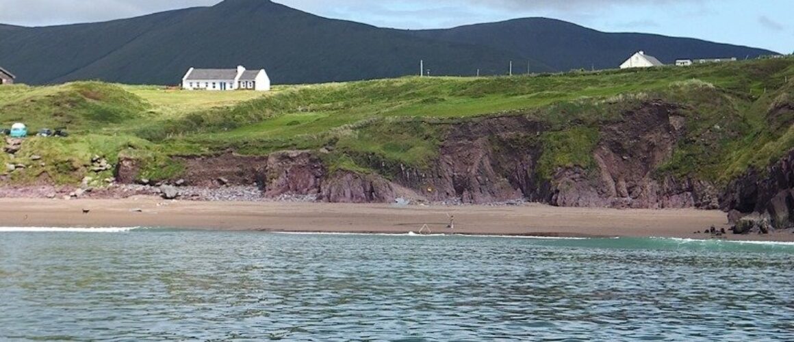 Dingle Bay 130